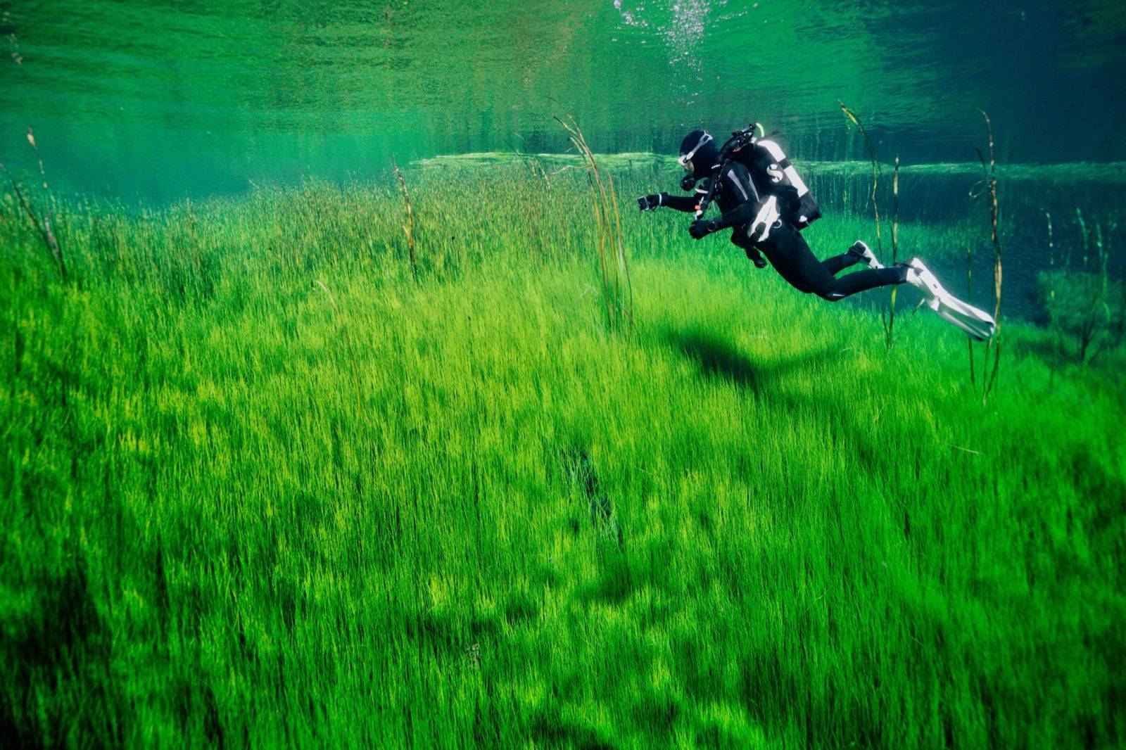 Andi Cross diving expedition in Mount Gambier
