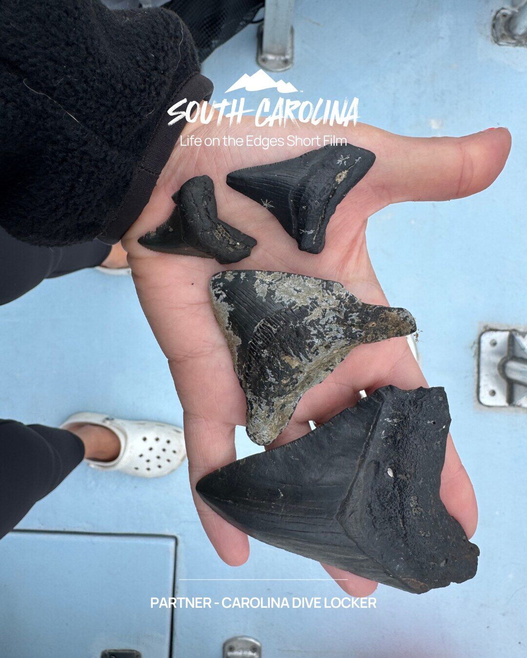 South Carolina - Life on the Edges Short Film - Partner: Carolina Dive Locker