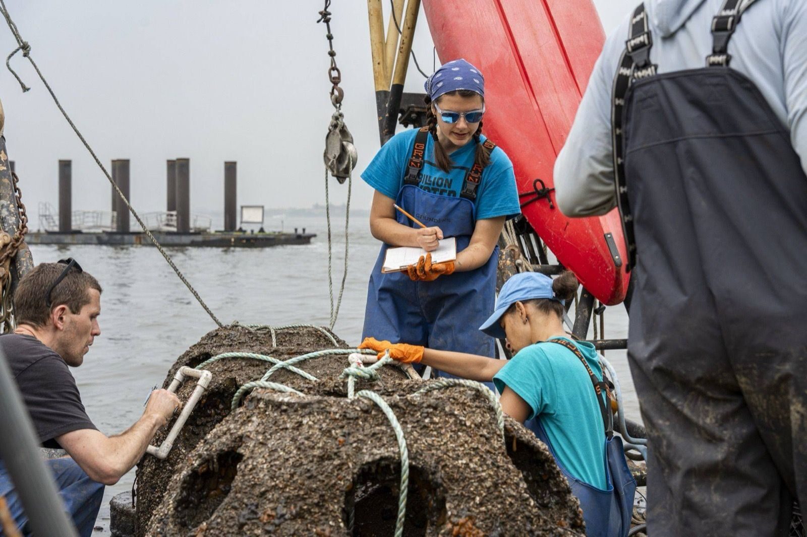 Muck diving in New York Harbor