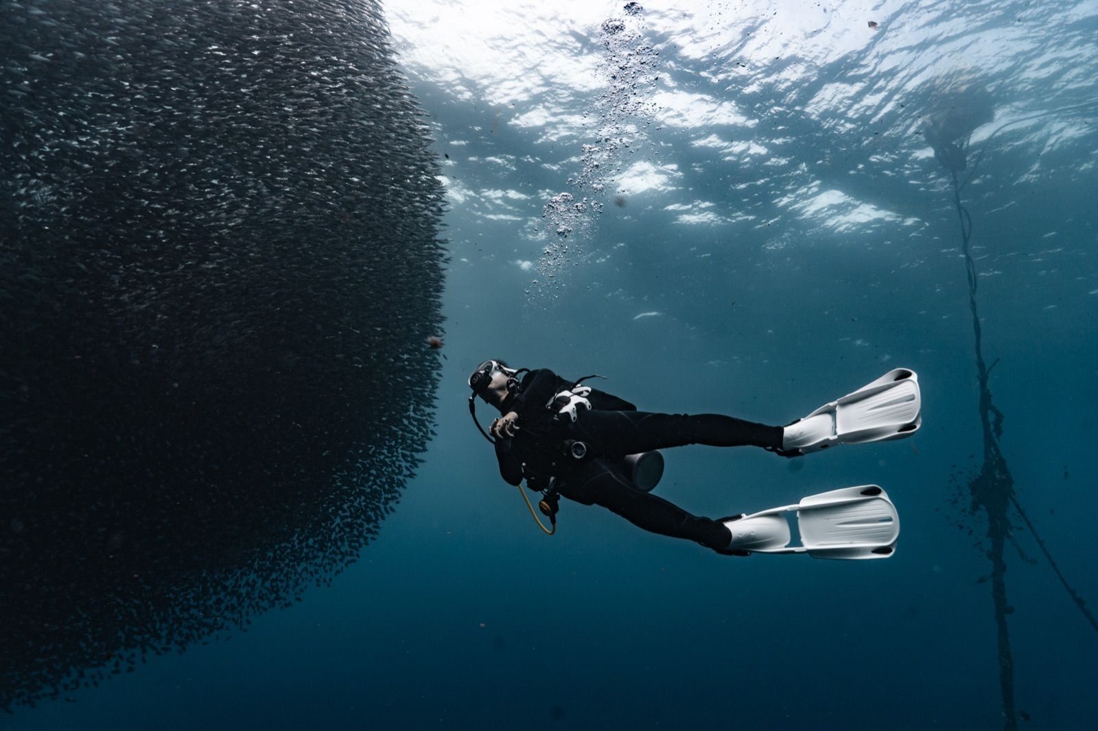 Community-driven marine conservation in Moalboal, Philippines